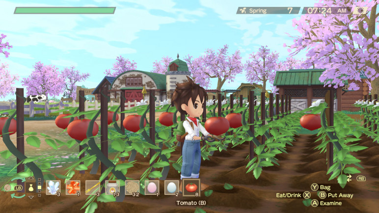 Story of Seasons a Wonderful Life – image 8