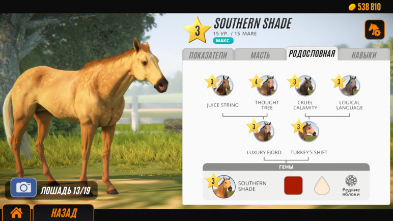 Купить ключ Rival Stars Horse Racing для Steam – изображение 7