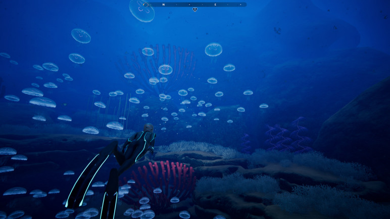 Buying Beyond Blue – image 4