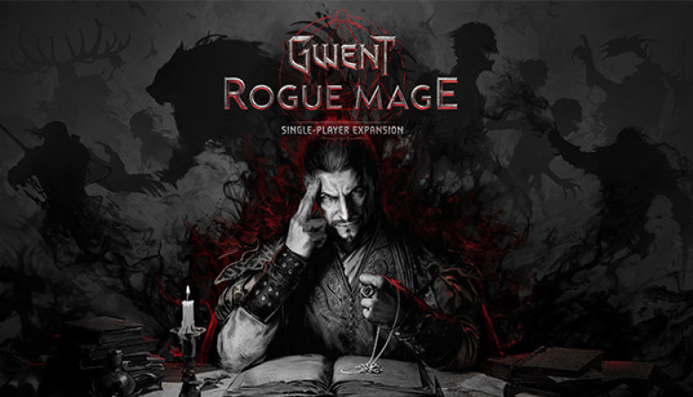 Аккаунты для GWENT Rogue Mage – изображение 9