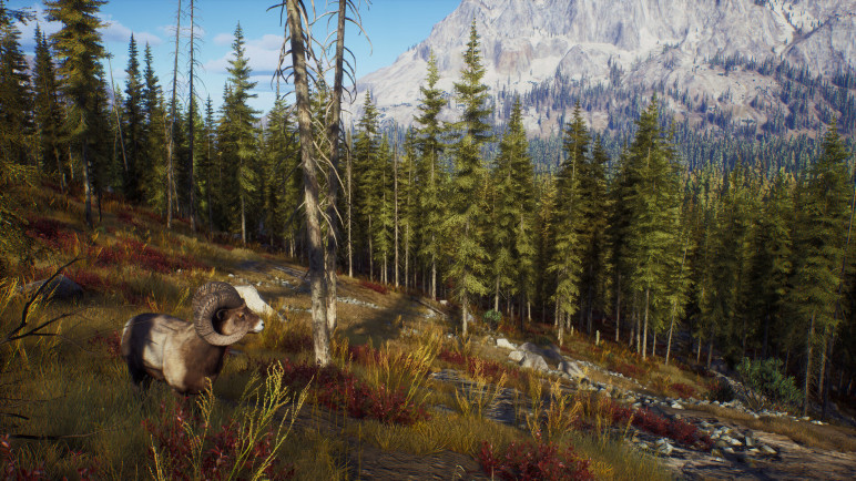Review of the Way of the Hunter – image 14