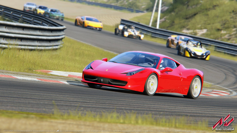 The Assetto Corsa Account – image 5