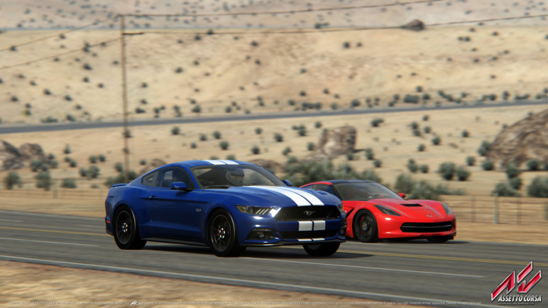 The Assetto Corsa Account – image 8