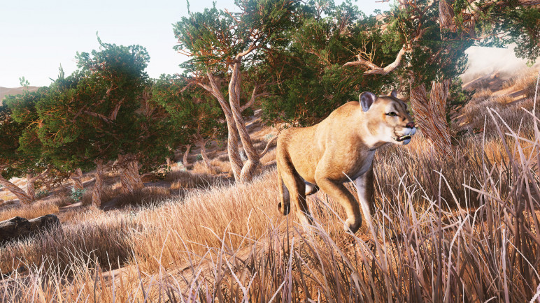Покупка на ваш аккаунт для Hunting Simulator – изображение 11
