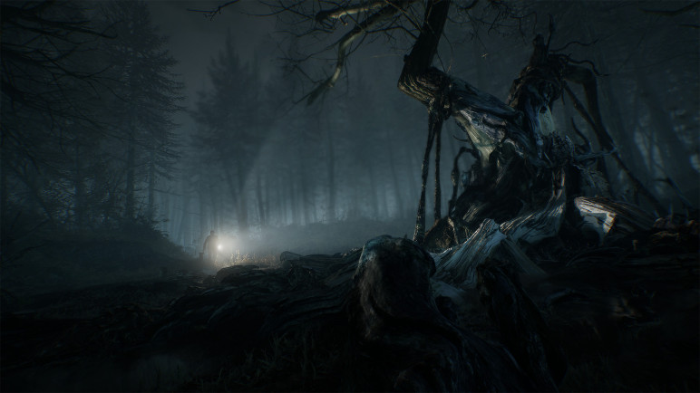 Активация Blair Witch – изображение 8