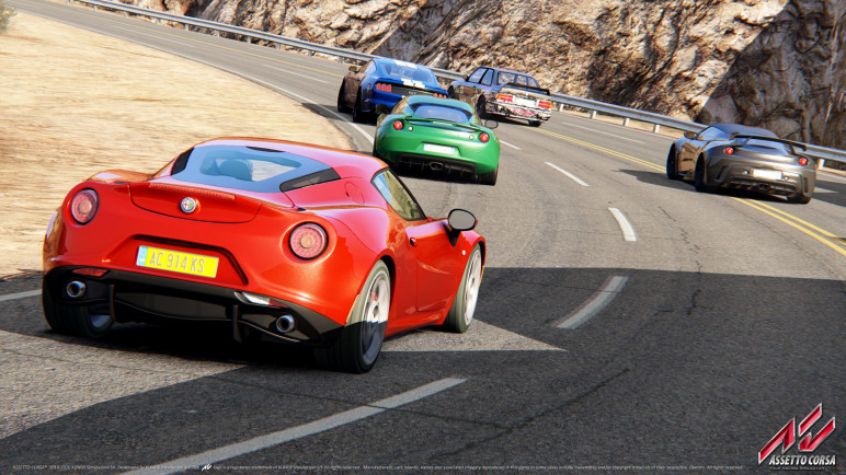 The Assetto Corsa Account – image 3
