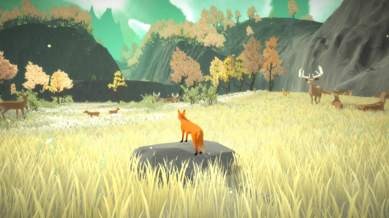 The First Tree – image 5