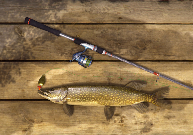 Купить Fishing Planet – изображение 10