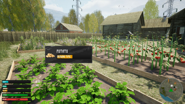 Buy an Offline Account Simulator of the Russian Village – image 8