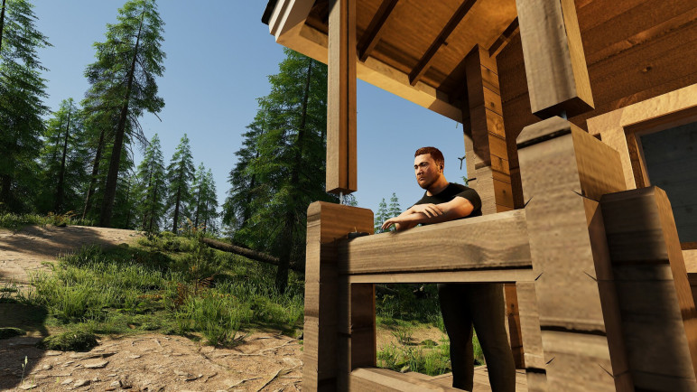 Купить ключ Finnish Cottage Simulator для Steam – изображение 8
