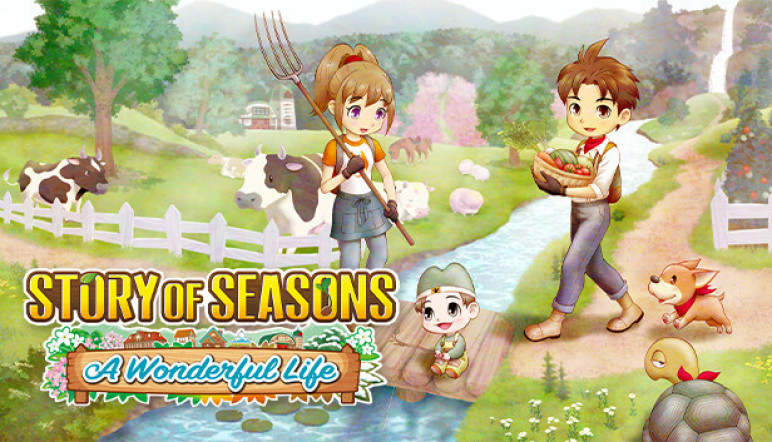 Story of Seasons a Wonderful Life – image 12