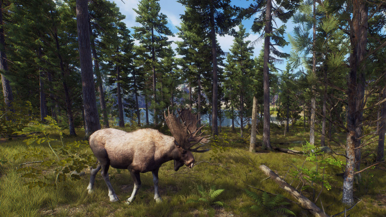 Review of the Way of the Hunter – image 19
