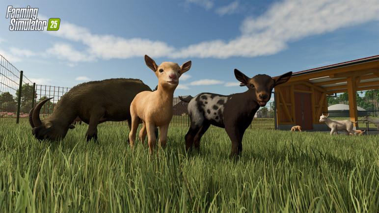 Farming Simulator 25 for Steam – image 5