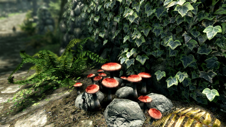 The Elder Scrolls V: Skyrim – image 7
