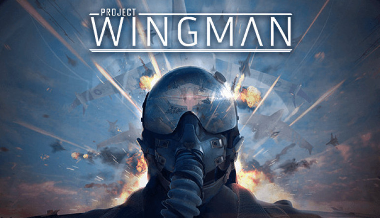 Купить ключ Project Wingman для Steam – изображение 10