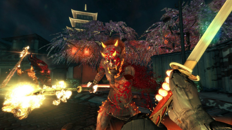 Offline account Shadow Warrior 2013 – image 2
