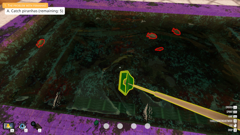 Buying a Pool Cleaning Simulator – image 11