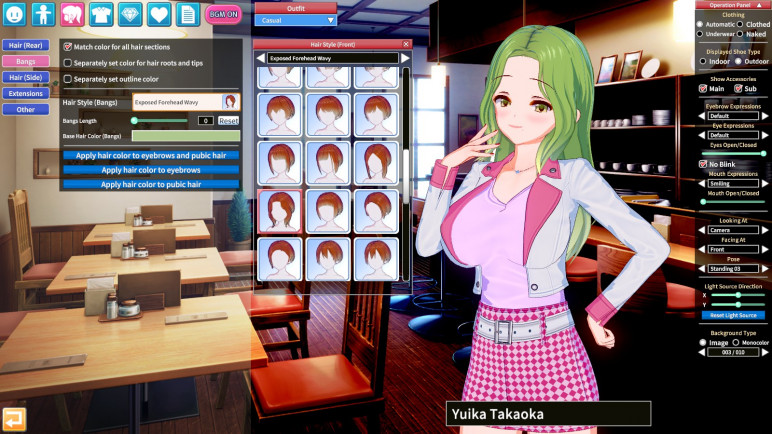 Buy an Offline Koikatsu Party Account for Steam – image 5