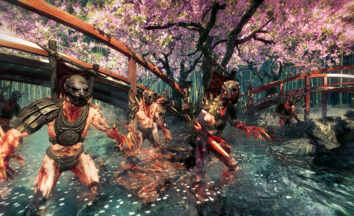 Offline account Shadow Warrior 2013 – image 6