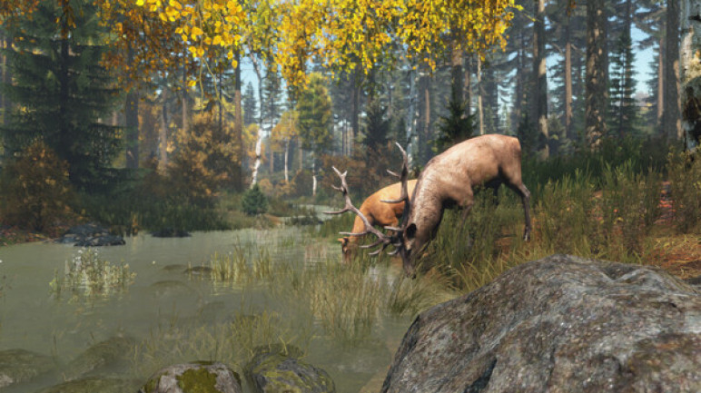 Купить ключ DayZ Standard Edition для Steam от 2670₽ с гарантией на GGSel!