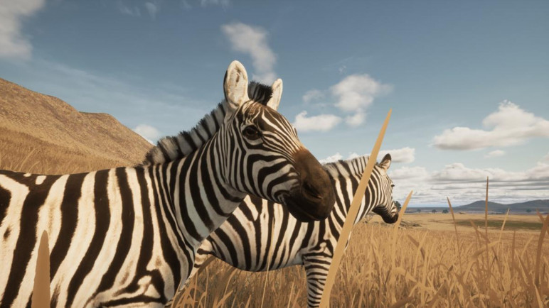 Купить ключ Animalia Survival для Steam – изображение 6