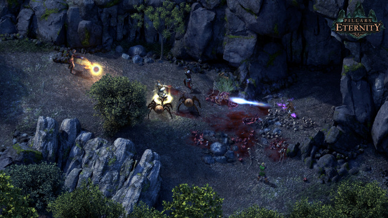 The Pillars of Eternity – image 4