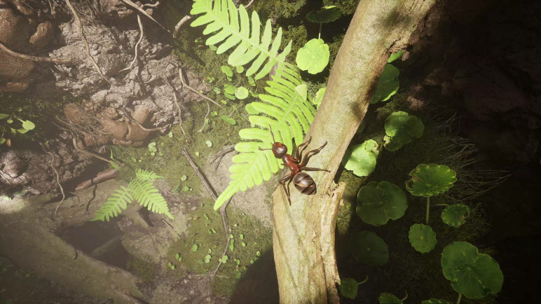 Купить Empire of the Ants – изображение 7