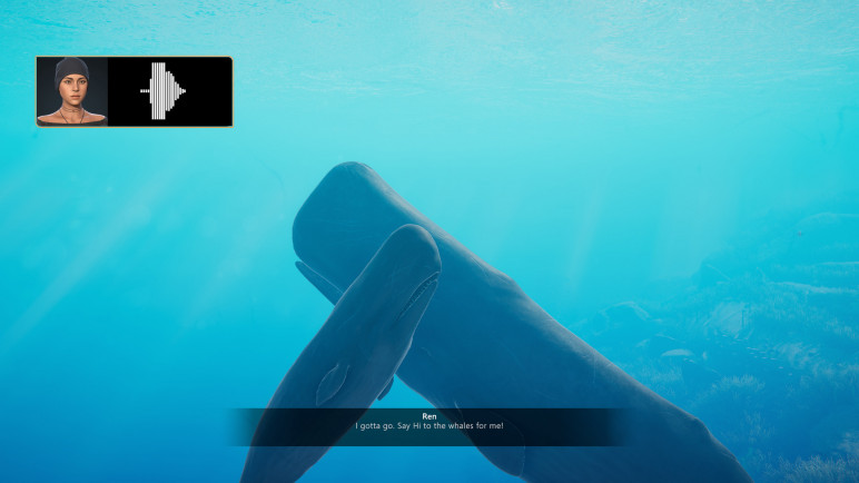 Buying Beyond Blue – image 8