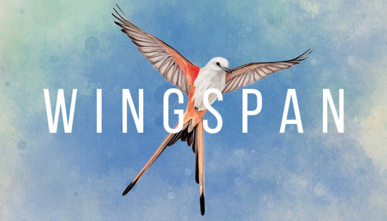 Ключи и гифты для Wingspan – изображение 7