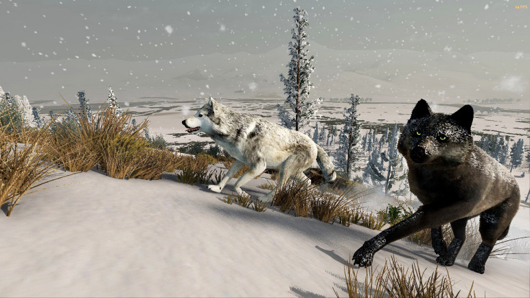 The WolfQuest Anniversary Edition – image 6