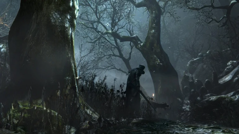 The Bloodborne account for PS4 – image 5