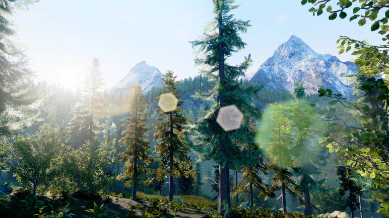 Покупка на ваш аккаунт для Hunting Simulator – изображение 9