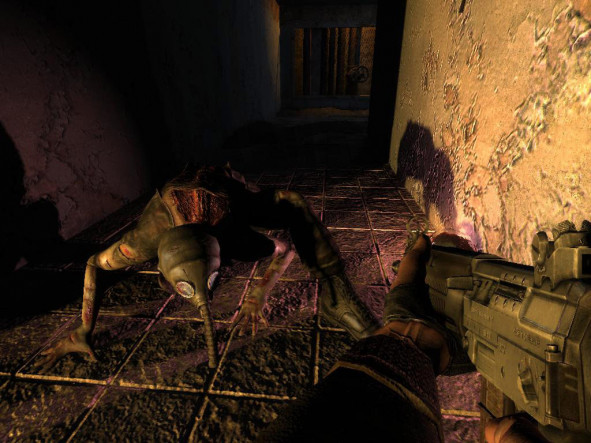 Buy an Offline Account STALKER Shadow of Chernobyl – image 5