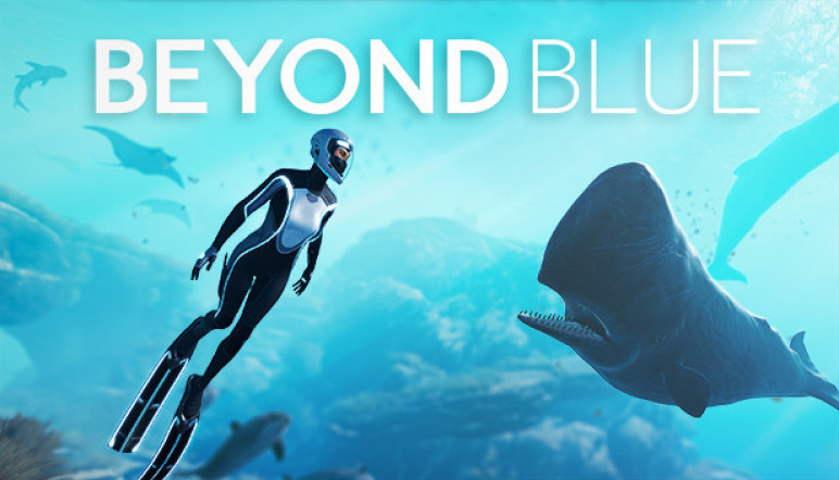 Buying Beyond Blue – image 12