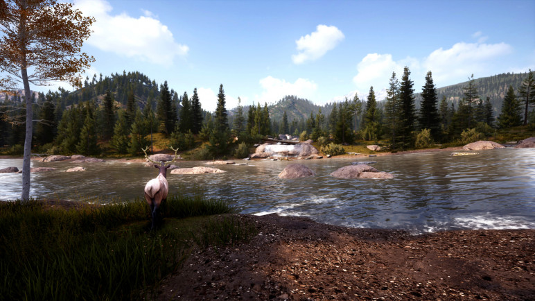 Купить Hunting Simulator 2 – изображение 5