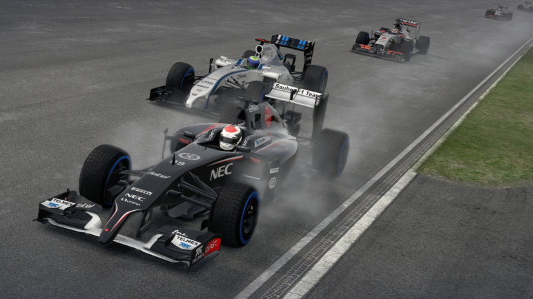 Оффлайн аккаунты для F1 2014 – изображение 11