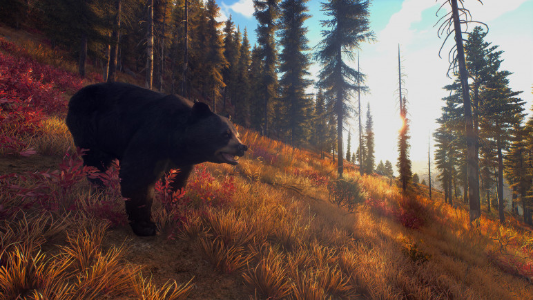 Review of the Way of the Hunter – image 12