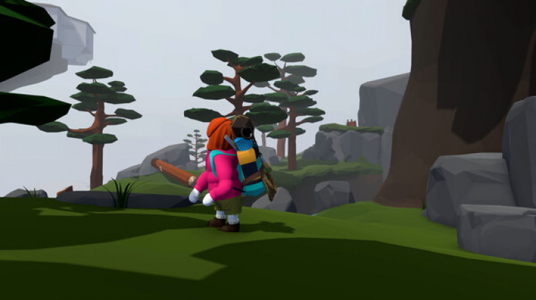 Activation of Human Fall Flat for PS4 – image 5