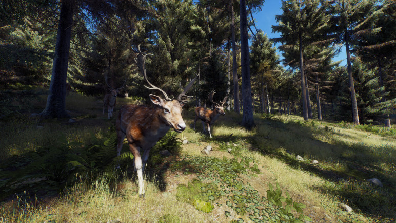 Review of the Way of the Hunter – image 23