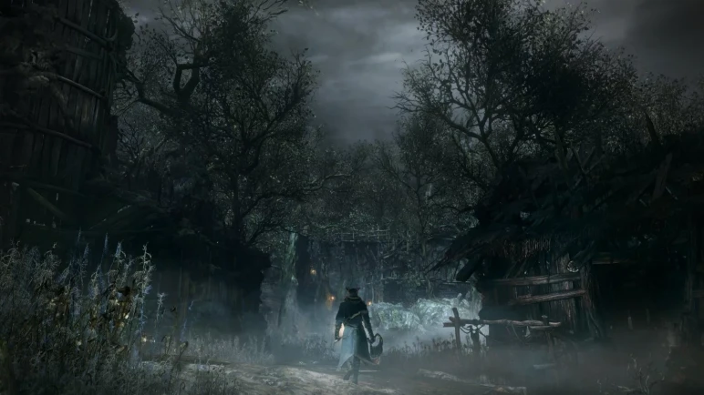 The Bloodborne account for PS4 – image 6